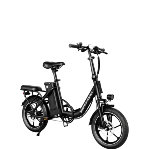 Revon Gliders electric bikes Windhorse W2B