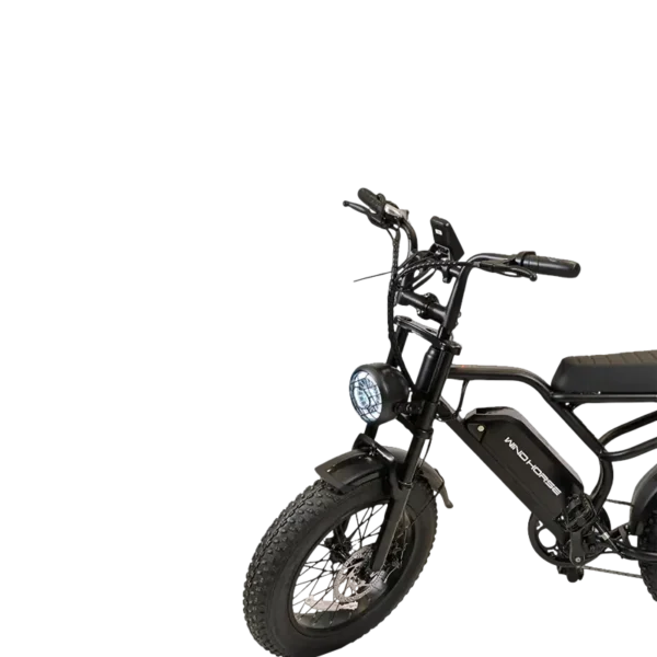 Windhorse Electric Bike