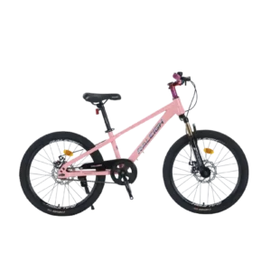 Raleigh EVA-22