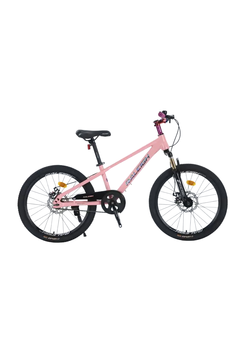 Raleigh EVA-22