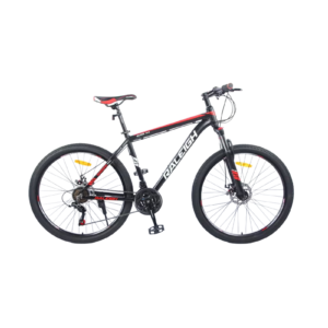 Raleigh Scree