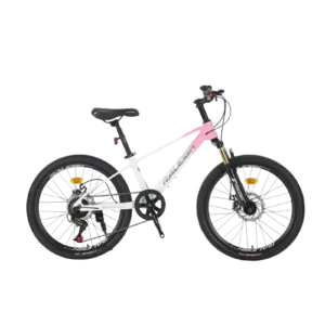 Raleigh EVA Plus