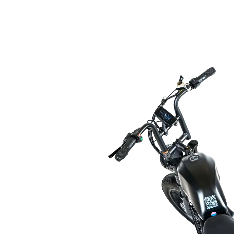 Windhorse D5 - Image 5