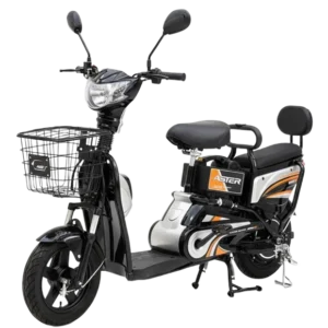 Aster Cargo Bike