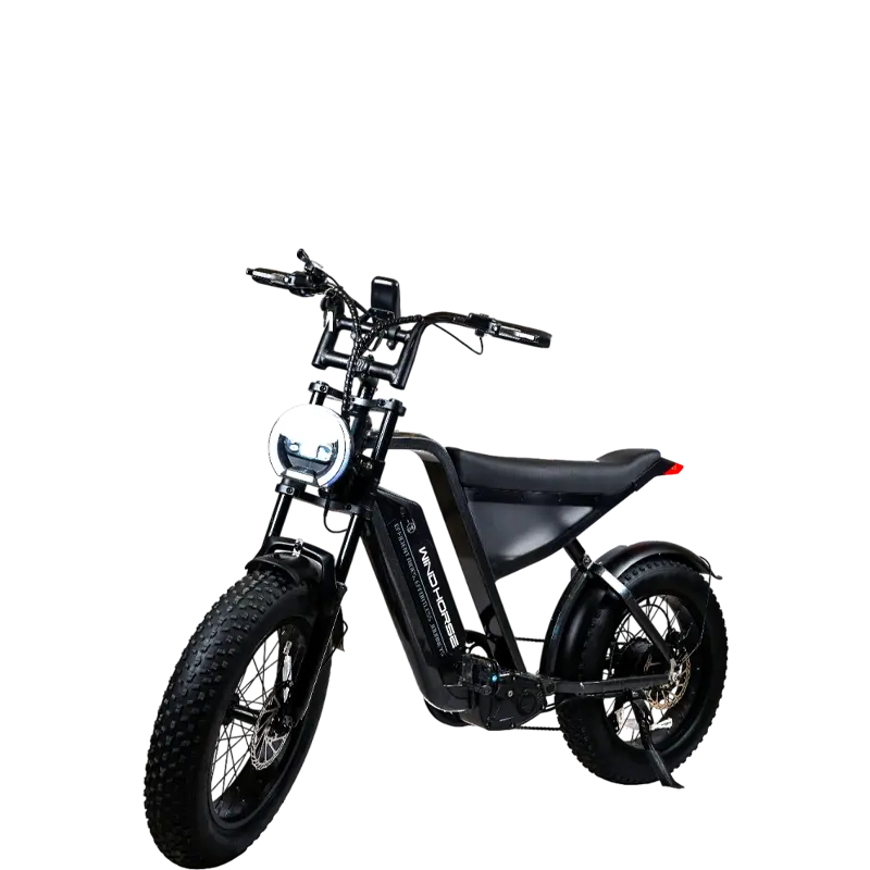 Windhorse D3 - Image 4