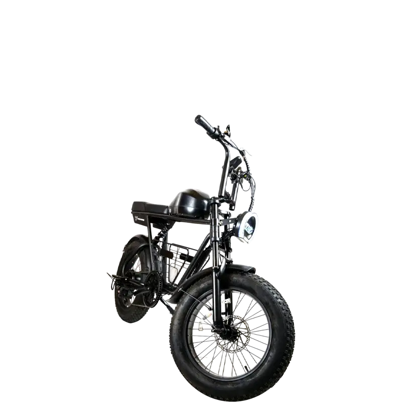 Windhorse D5 - Image 8