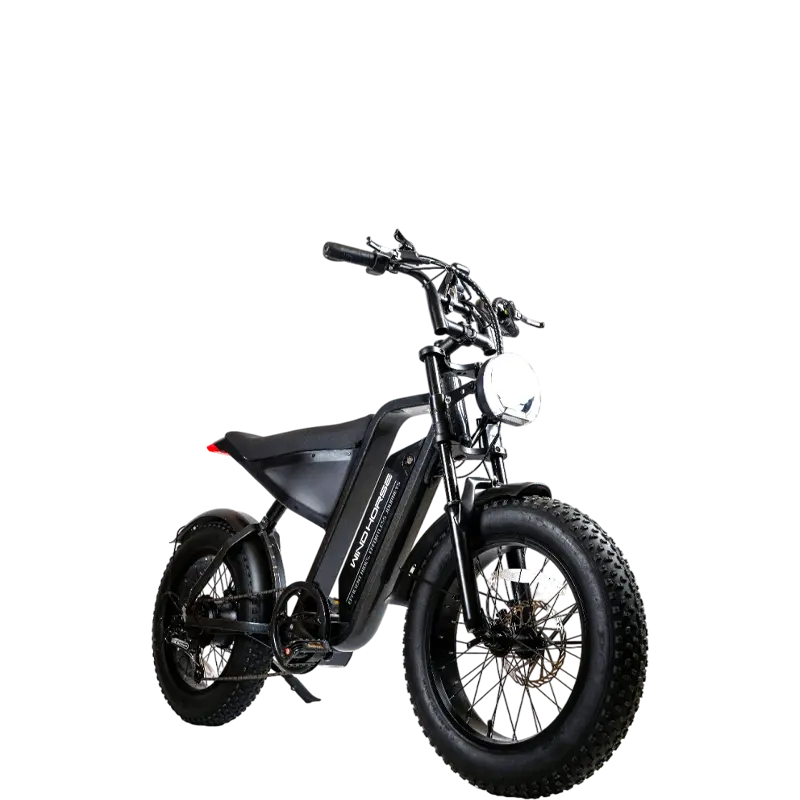 Windhorse D3