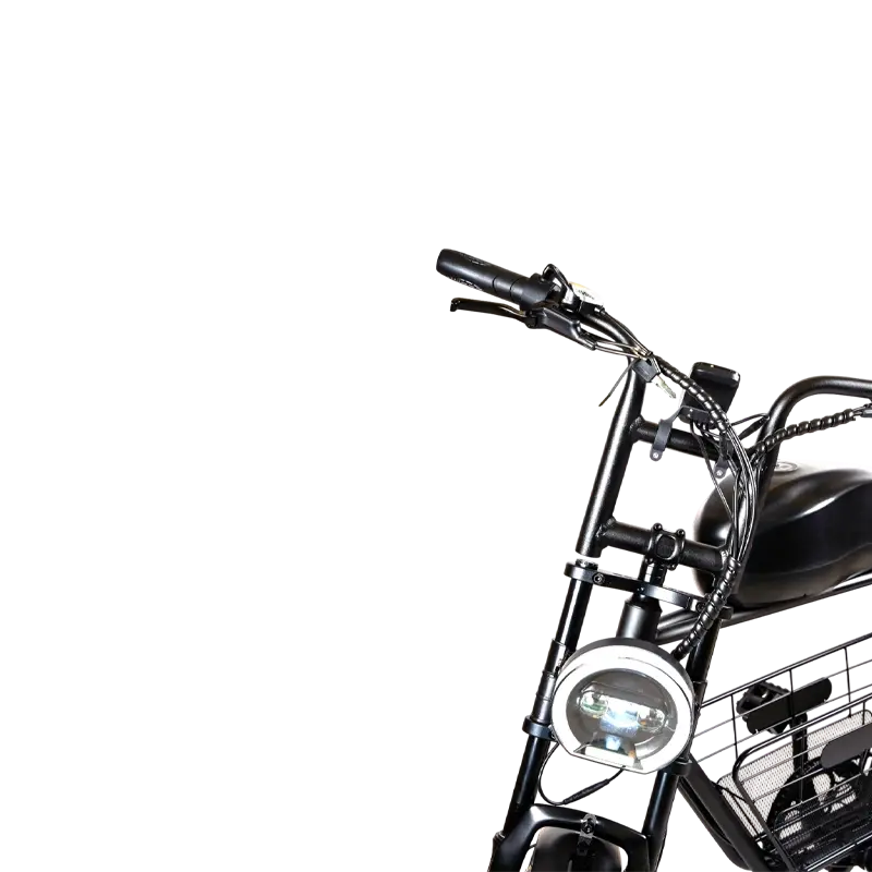 Windhorse D5 - Image 9