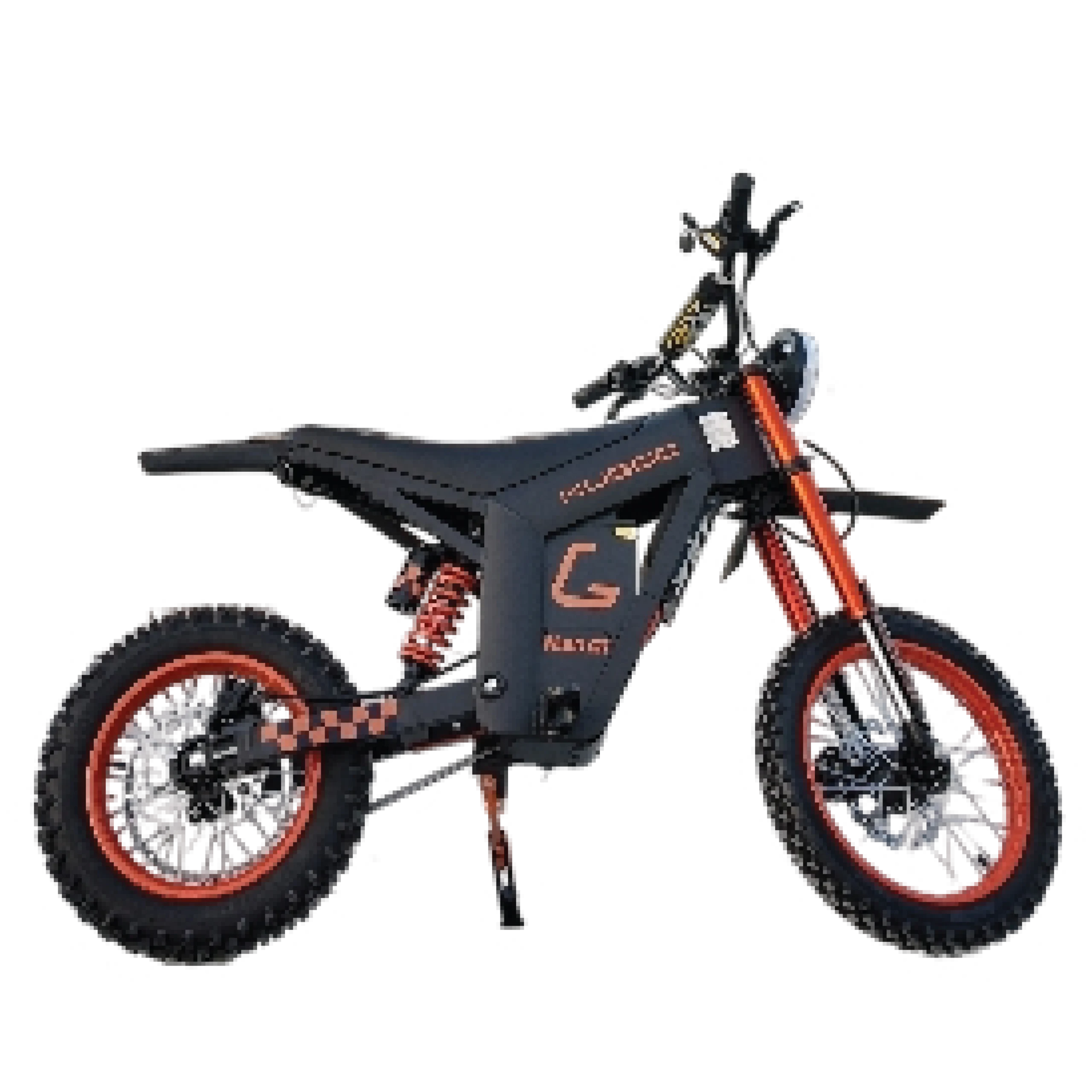 Wish 01 Electric Bike