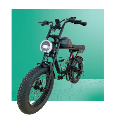 REVON D5 Contact Revon Gliders electric bikes